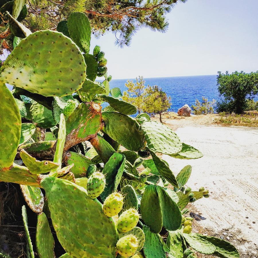 Euphoria - South Crete Villas Achlia Buitenkant foto
